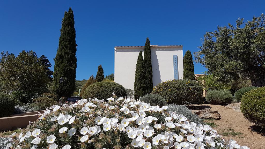 Hotel Cala Di L'Oru L'Ile-Rousse (Corsica) Exterior foto